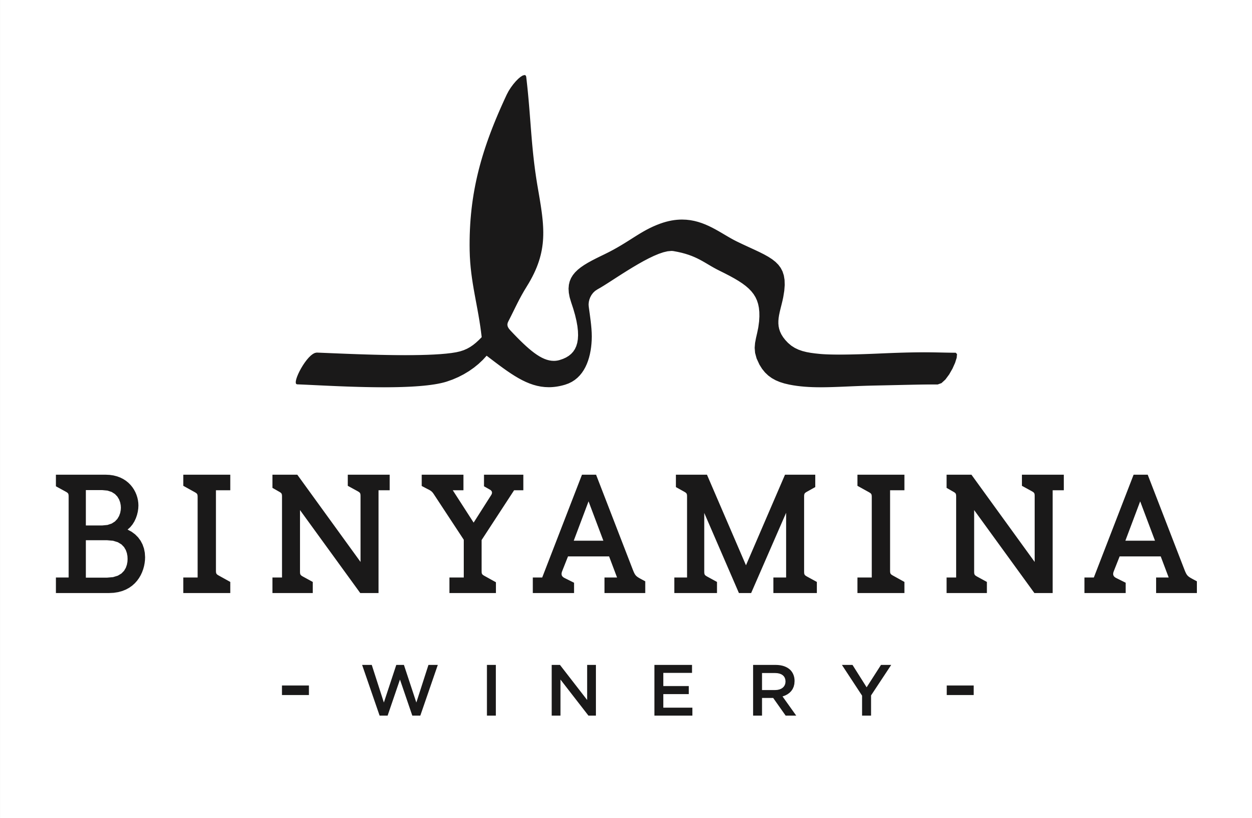 Binyamina Winery Logo