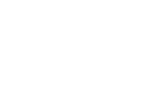 TLV Groove Logo